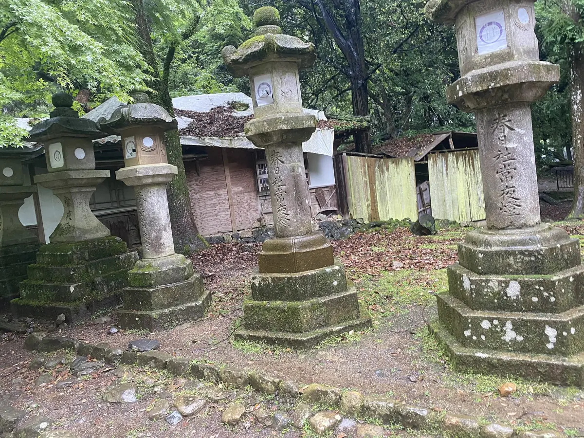 Moss-covered stone lanterns on the approach