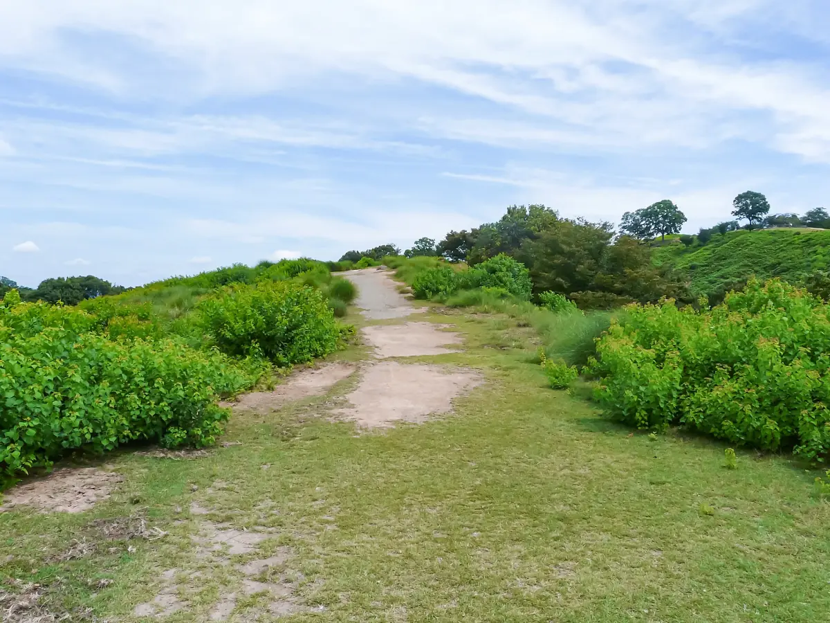 The trail up Mount Wakakusa