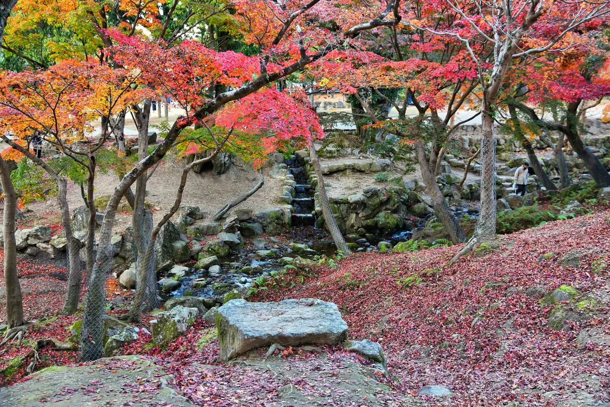 Autumn leaves in Nara Park