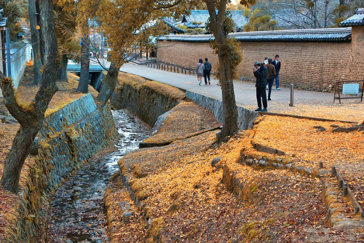 A path in Nara Park in autumn