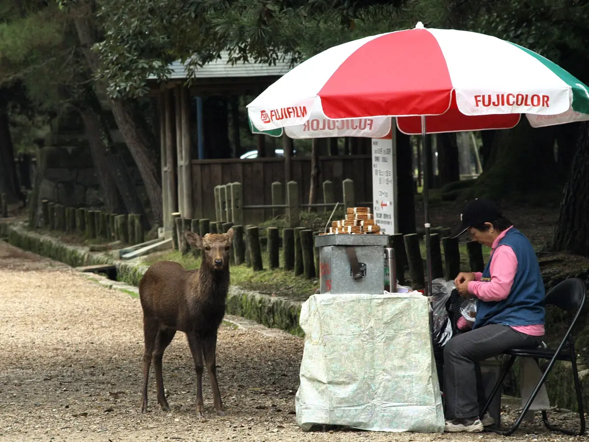 A stand selling deer crackers