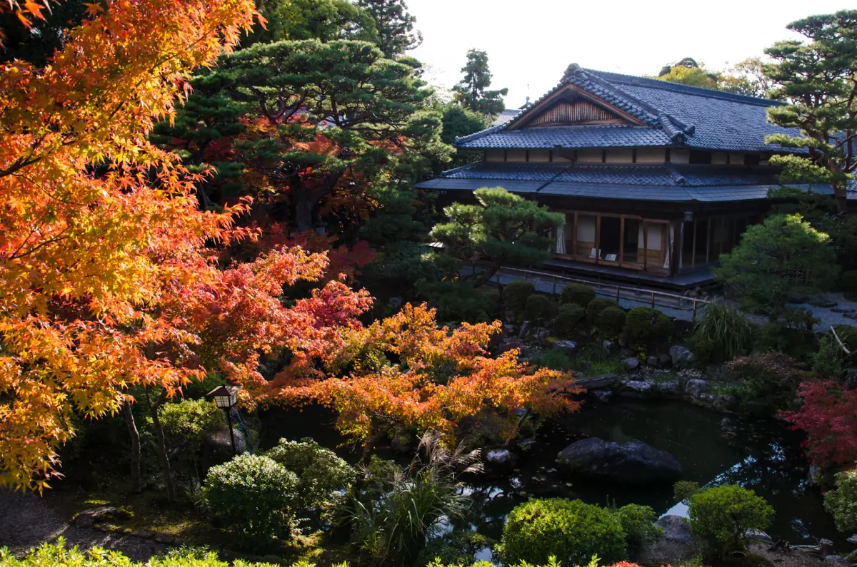 Yoshikien Garden in autumn